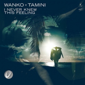 WANKO X TAMINI - I NEVER KNEW THIS FEELING
